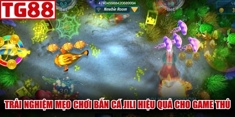 Trải nghiệm mẹo chơi Bắn Cá Jili hiệu quả cho game thủ
