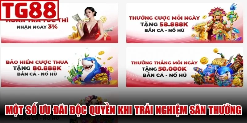 Một số ưu đãi độc quyền khi trải nghiệm săn thưởng